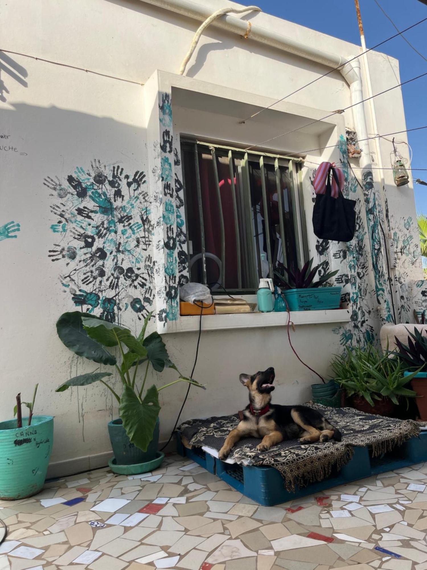 Dar Dyali Rooftop ⁿᵉᵃʳ ⁿᵍᵒʳ ᵇᵉᵃᶜʰ ᵃⁿᵈ ⁱˢˡᵃⁿᵈ 达喀尔 外观 照片